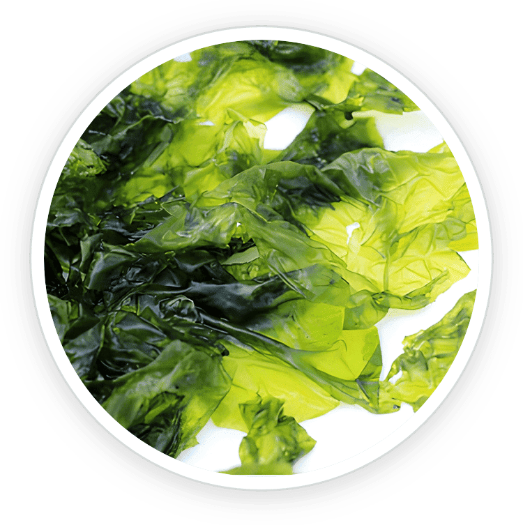Nori Yaki Extract Powder